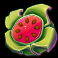 the secret forest slot watermelon symbol