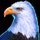 wolf gold ultimate slot eagle symbols