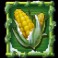 Brew Brothers Xmas Brew slot Maize symbol