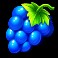 Fruit Party slot Grapes symbol