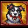 Hot Dog Heist Slot Border Collie Symbol