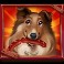 Hot Dog Heist Slot Rough Collie Symbol