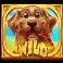 Hot Dog Heist Slot Wild Symbol
