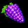 Jokerizer slot Grapes symbol