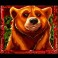 Jungle Mega Moolah slot Bear symbol