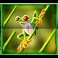 Jungle Mega Moolah slot Frog symbol