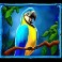 Jungle Mega Moolah slot Parrot symbol