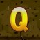 Jungle Mega Moolah slot Q symbol