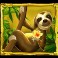 Jungle Mega Moolah slot Sloth symbol