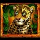 Jungle Mega Moolah slot Tiger symbol