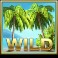 Mega Fortune Dreams slot wild symbol