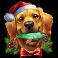 bass cash christmas x up slot golden retriever symbol