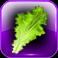 burgers slot lettuce symbol