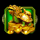 fortune coin fever spins slot golden turtle symbol