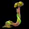 lions saga odyssey slot j symbol