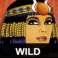 mega moolah goddess slot wild symbol