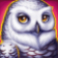 polar bonanza slot owl symbol