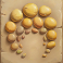 pond of plinko slot yellow stones symbol