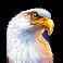 big buffalo slot eagle symbol