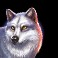 big buffalo slot wolf symbol