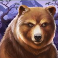 buffalo rising megaways all action slot bear logo