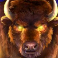 buffalo rising megaways all action slot buffalo logo