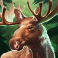 buffalo rising megaways all action slot moose logo