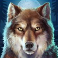 buffalo rising megaways all action slot wolf logo
