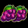 cash strike hotstepper megaways slot grapes symbol