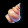 cherry bomber slot conch shell symbol