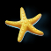 cherry bomber slot starfish symbol