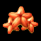 fish cashpot deluxe slot starfish symbol