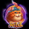 fonzos feline fortunes slot wild symbols