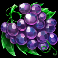fruity gems slot grapes symbol