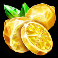 fruity gems slot lemons symbol