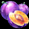 fruity gems slot plums symbol