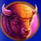 grizzly strike lucky cache buffalo symbol