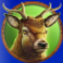 grizzly strike lucky cache deer symbol