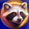 grizzly strike lucky cache raccoon symbol