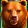 grizzly strike lucky cache wild symbol