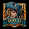 midningt gold slot wild symbol
