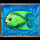 beware the shark slot green fish symbol