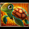 beware the shark slot turtle symbol