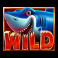 beware the shark slot wild symbol