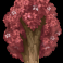 big stack lumberjack slot beech symbol