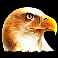 buffalo lightning slot eagle symbol