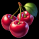 coin of the nile slot winged cherries symbol