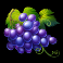 coin of the nile slot grapes symbol