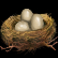 duck hunters slot eggs symbol