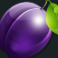 hot spin slot plum symbol